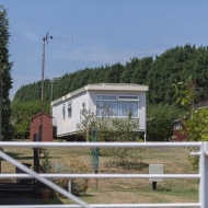 DP1A4425
